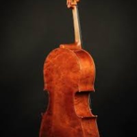 Cello by Sofia Vettori